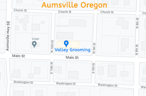 Valley Grooming LLC | 935 Main St Aumsville, OR Valley Grooming 935 Main St Aumsville, OR